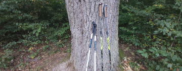 STANE SA NORDIC WALKING ŠPORTOM BUDÚCNOSTI?